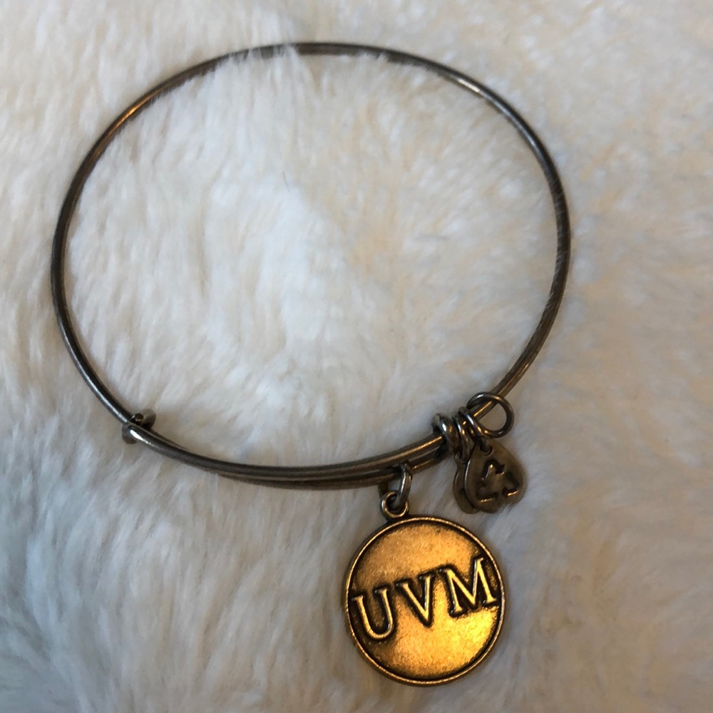 Alex & Ani UVM Charm - silver